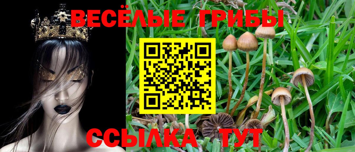 Кыштым  Псилоцибиновые грибы MAGIC MUSHROOMS  Вход с VPN 